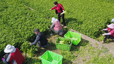 甘肃深挖“土特产” 助农增收致富